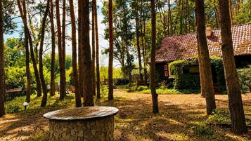 Eine rustikale Holzhütte, umgeben von hohen Bäumen, einem Steinkamin und einer Holzterrasse.