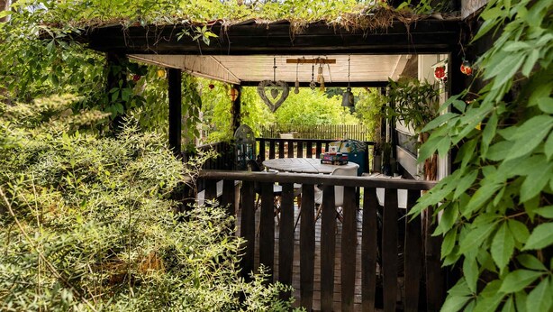 Una terraza de madera con una pérgola, rodeada de abundante vegetación y árboles.