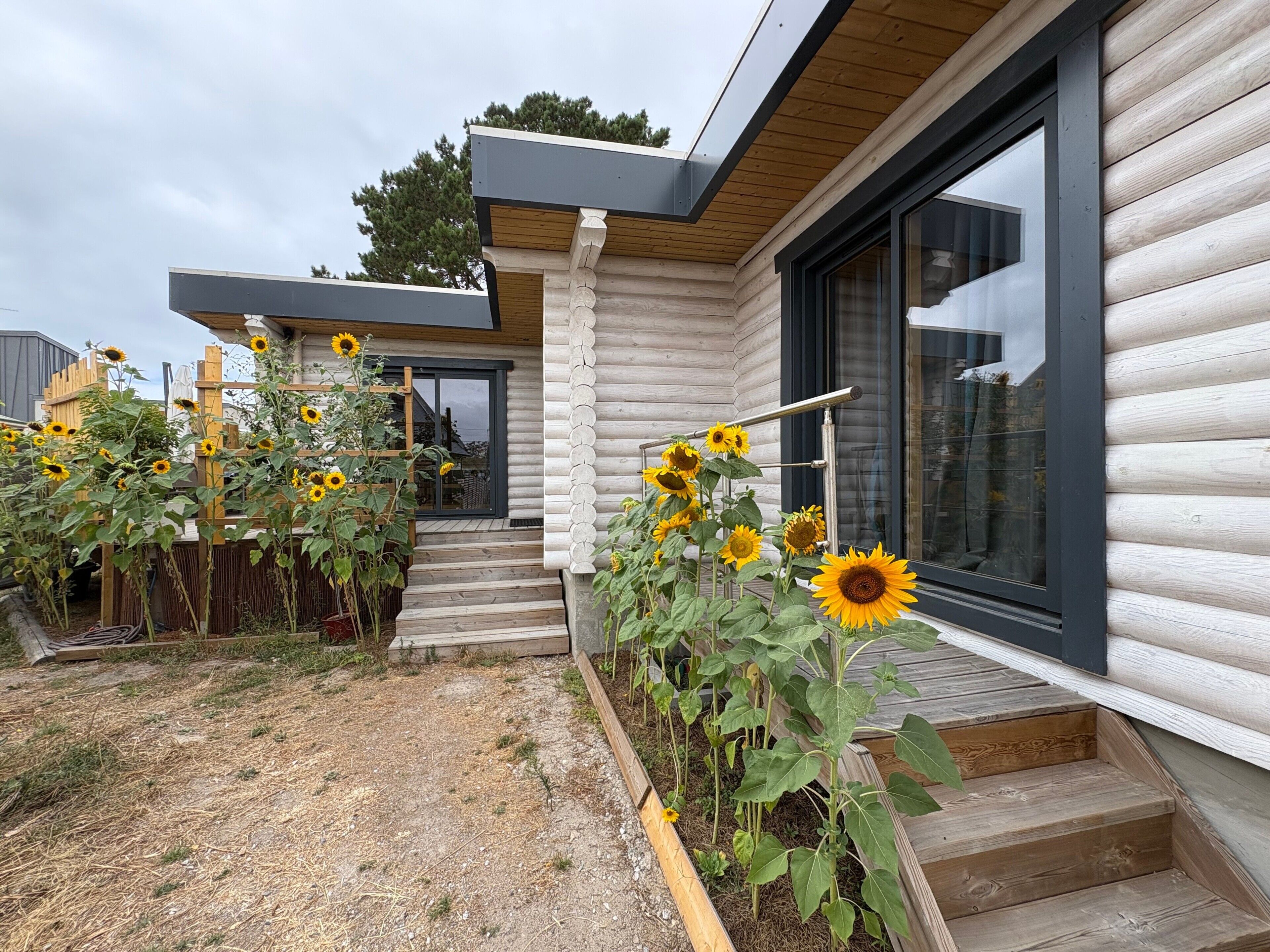 A modern log cabin with a wooden exterior, a set of wooden steps leading to a door, and a garden with sunflowers.