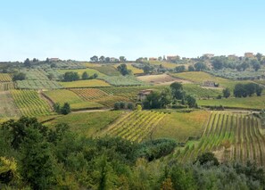 Eine Weinlandschaft mit terrassenförmig angelegten Feldern und verstreuten Gebäuden.