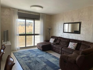 Een woonkamer met een bruine leren bank, een tapijt met patroon, een tv op een standaard en een groot raam met uitzicht op een veld.