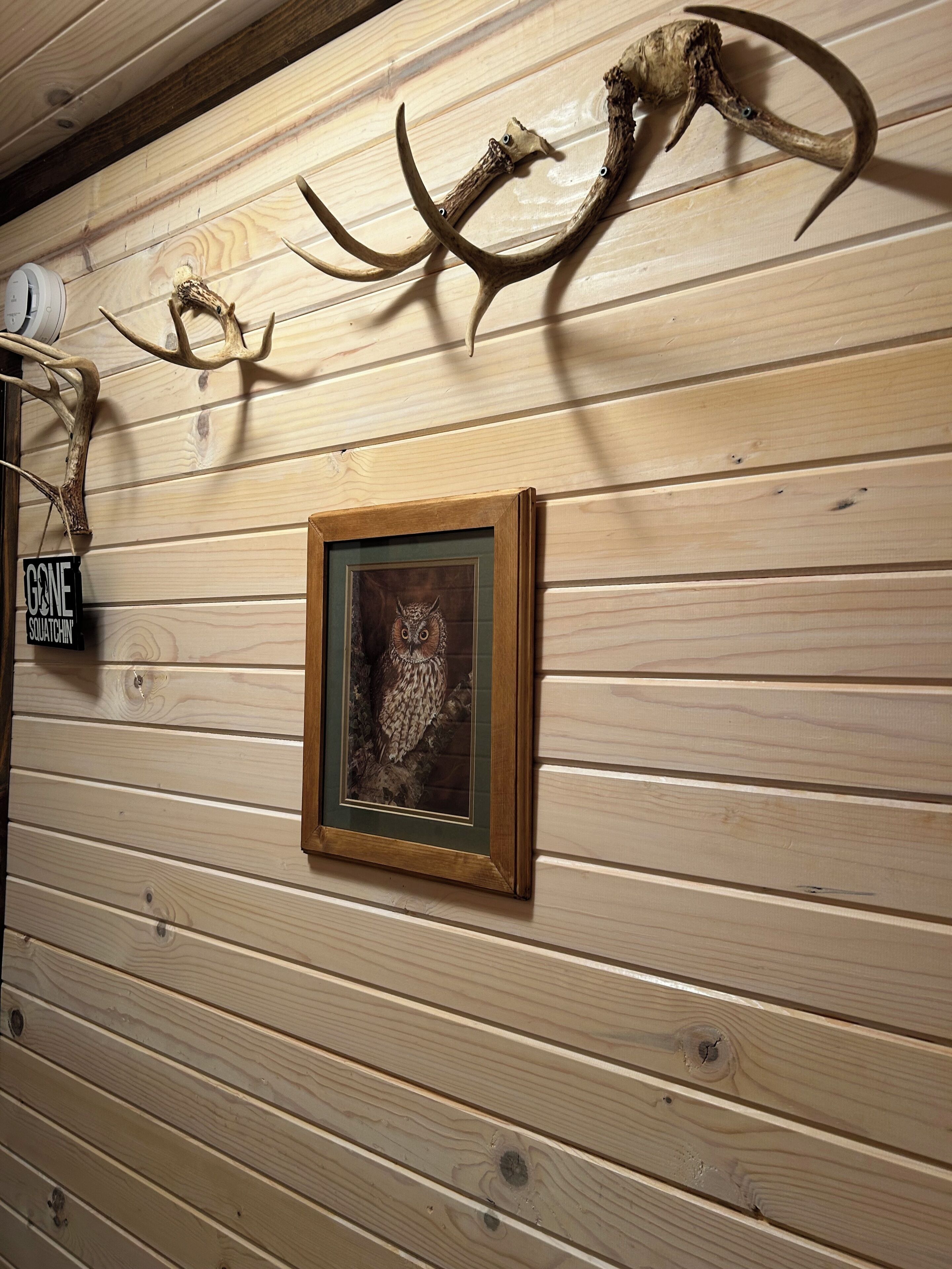 A wooden wall with mounted animal horns and a framed owl picture.