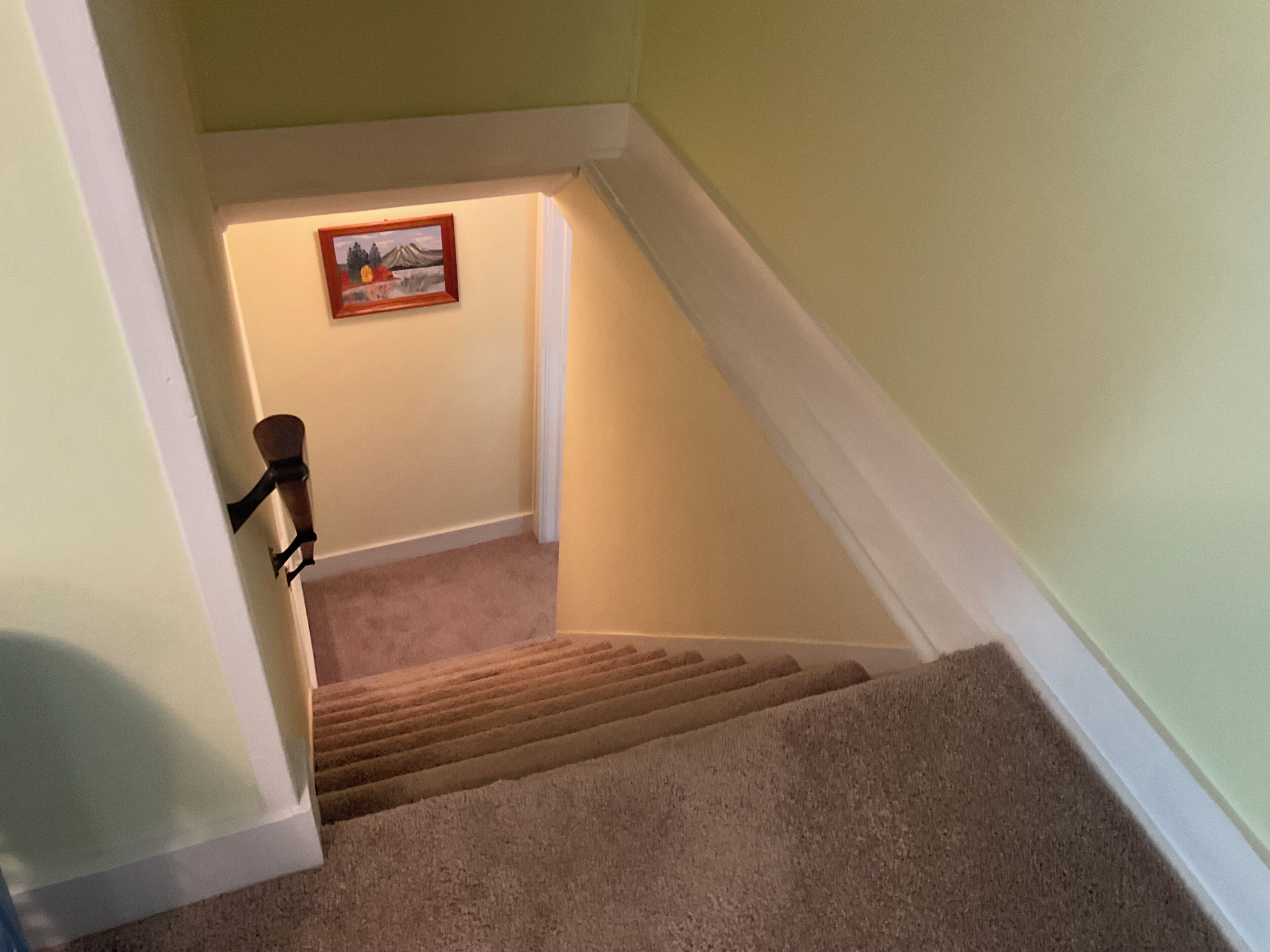 Una escalera con alfombra y barandilla que lleva a una habitación con un cuadro en la pared.