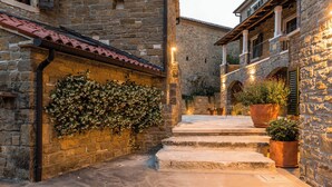 A stone courtyard with steps leading to a building, potted plants, and a wall with climbing plants. - Platano, ADQ (Buje)
