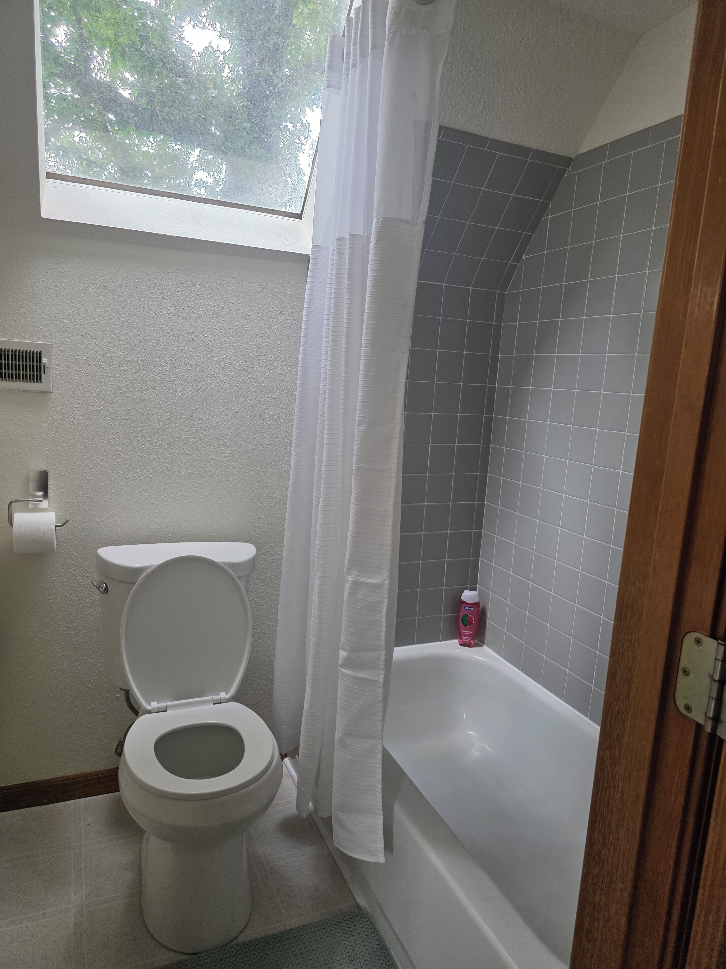 Hair dryer, towels, soap, toilet paper
