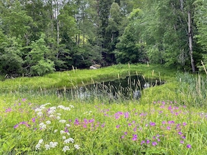 Eine natürliche Landschaft mit einem Teich, umgeben von dichtem Wald und Wildblumen.