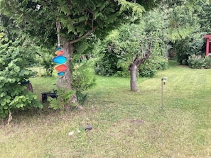 En trädgård med ett träd, en fågelmatare och en gräsmatta.