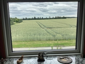 Ein Fenster mit Blick auf ein Feld und eine Marmorplatte mit einer Figur und einer kleinen Schale.