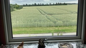 A window with a view of a field, a marble countertop with a figurine, and a small plate. - 6 Person Holiday Home in Bandholm (Bandholm)