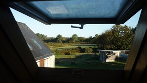 A skylight window with a view of a grassy area, a stone structure, and trees.