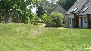 A grassy area with a palm tree, a stone building with a sloped roof, and a pathway leading to the building.