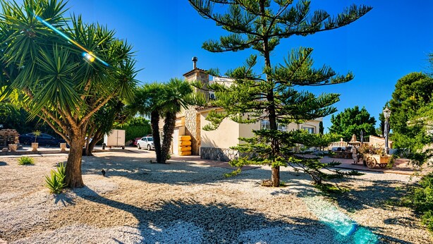 A courtyard with palm trees, a stone building, and a clear blue sky.