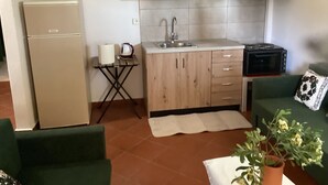 Ett kompakt kök med ett kylskåp, en diskho, en mikrovågsugn och ett litet bord med en vattenkokare och en rulle hushållspapper.