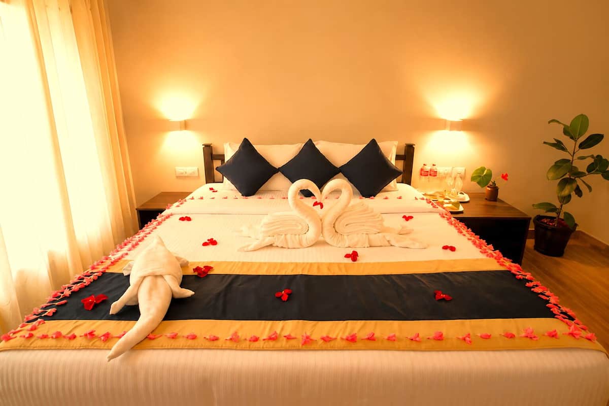 Una habitación de hotel con cama, almohadas, una mesita de noche, una planta y una lámpara de pared.