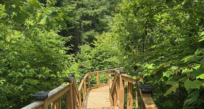 KoKo Bay:GLAMPING: Where Glamour meets Nature!
Mix of Hilton Hotel and Camping!