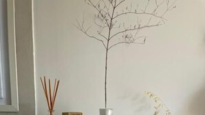 Estante blanco con toallas dobladas, un florero con cañas, una planta pequeña en maceta y un cuadro colgado en la pared.