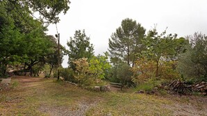 A gravel path leading through a wooded area with trees and a bench.