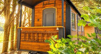 Cowboy Trailer - Unique Tiny House