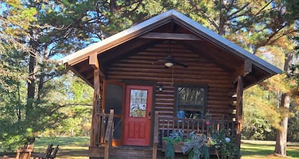 Lakeview Cabin Littlest Longhorn