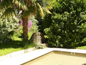 Ein Pool mit einer Steinstruktur, umgeben von üppiger Vegetation und blühenden Pflanzen.