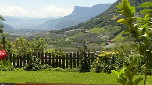 Vista panorâmica de um vale com cerca de madeira, vegetação e montanhas ao longe.