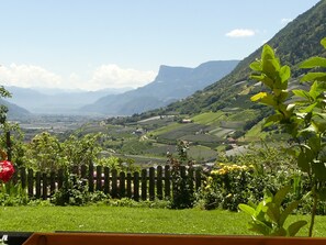 Ein malerischer Blick auf ein Tal mit Holzzaun, Grünflächen und fernen Bergen.