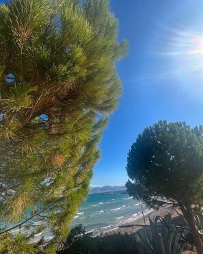 Playa