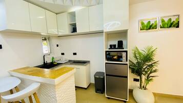 Deluxe Apartment | Private kitchen | Fridge, microwave