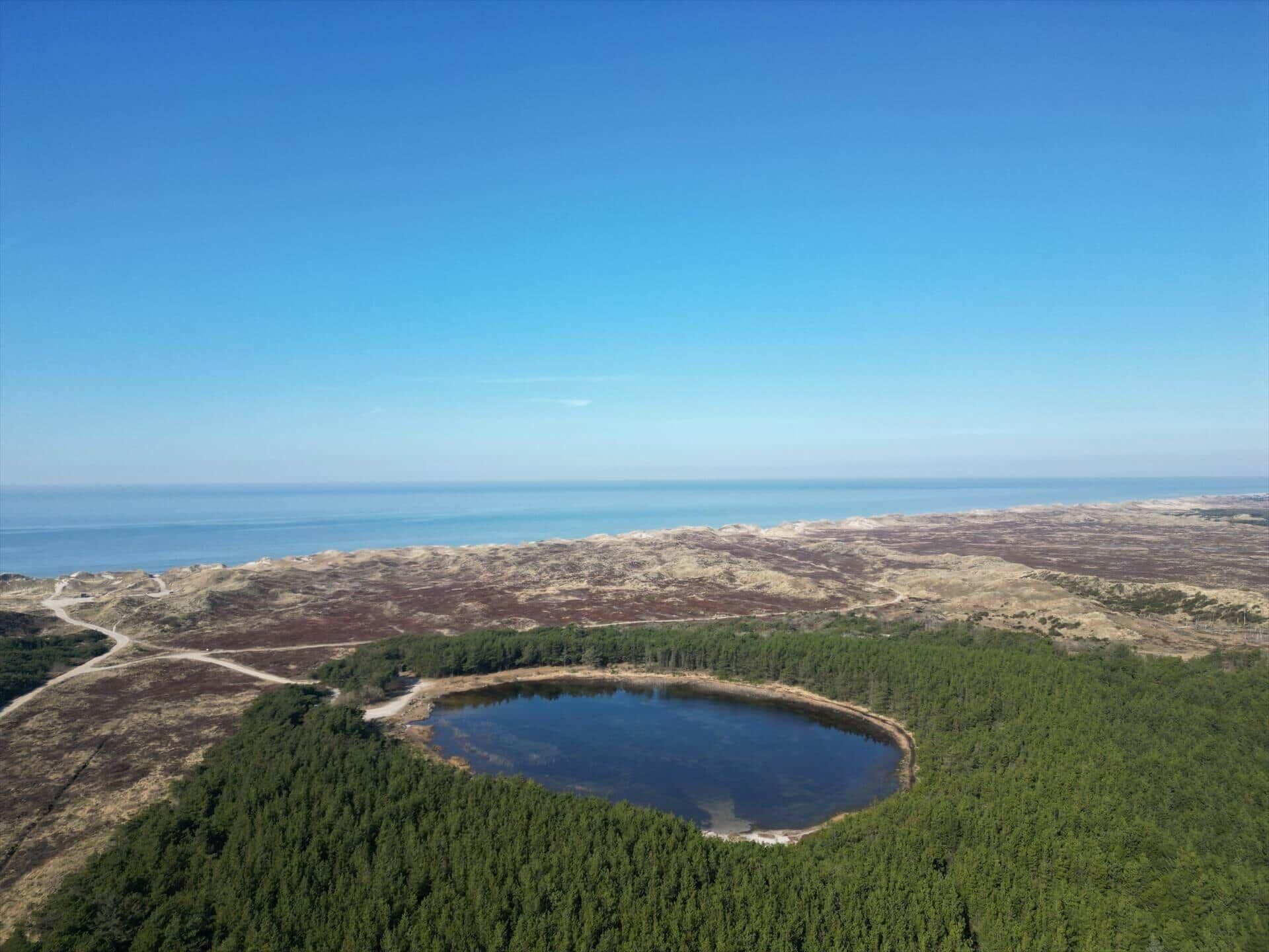 Un paisaje natural con un lago rodeado de un bosque denso y un cielo despejado.