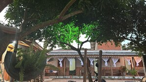 A traditional building with a tiled roof, a covered porch with white curtains, and a tree in the foreground.