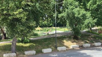 Una carretera pavimentada con bolardos blancos, una zona verde y árboles.