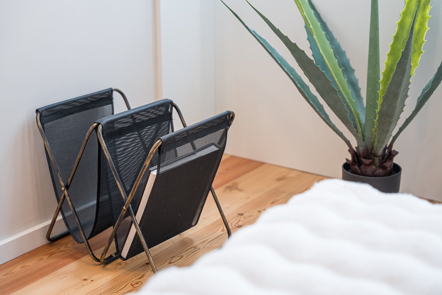 A bed with a white cover, two black mesh chairs, and a potted plant with green and blue leaves.