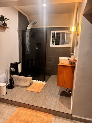 Shower, bidet, towels, soap