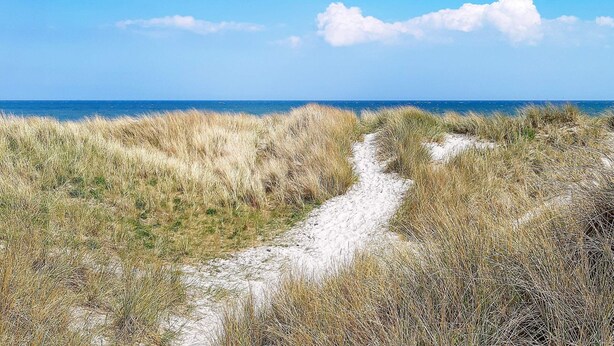 Un camino costero con dunas y una vista despejada del mar.