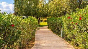 A paved pathway flanked by neatly trimmed hedges and trees, leading to a grassy area. - Studio - Golf & Pool view- Cadre chic et paisible (Marrakesh)