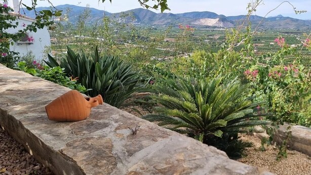 Un muro de piedra con una maceta de terracota, abundante vegetación y una vista distante de un paisaje montañoso.