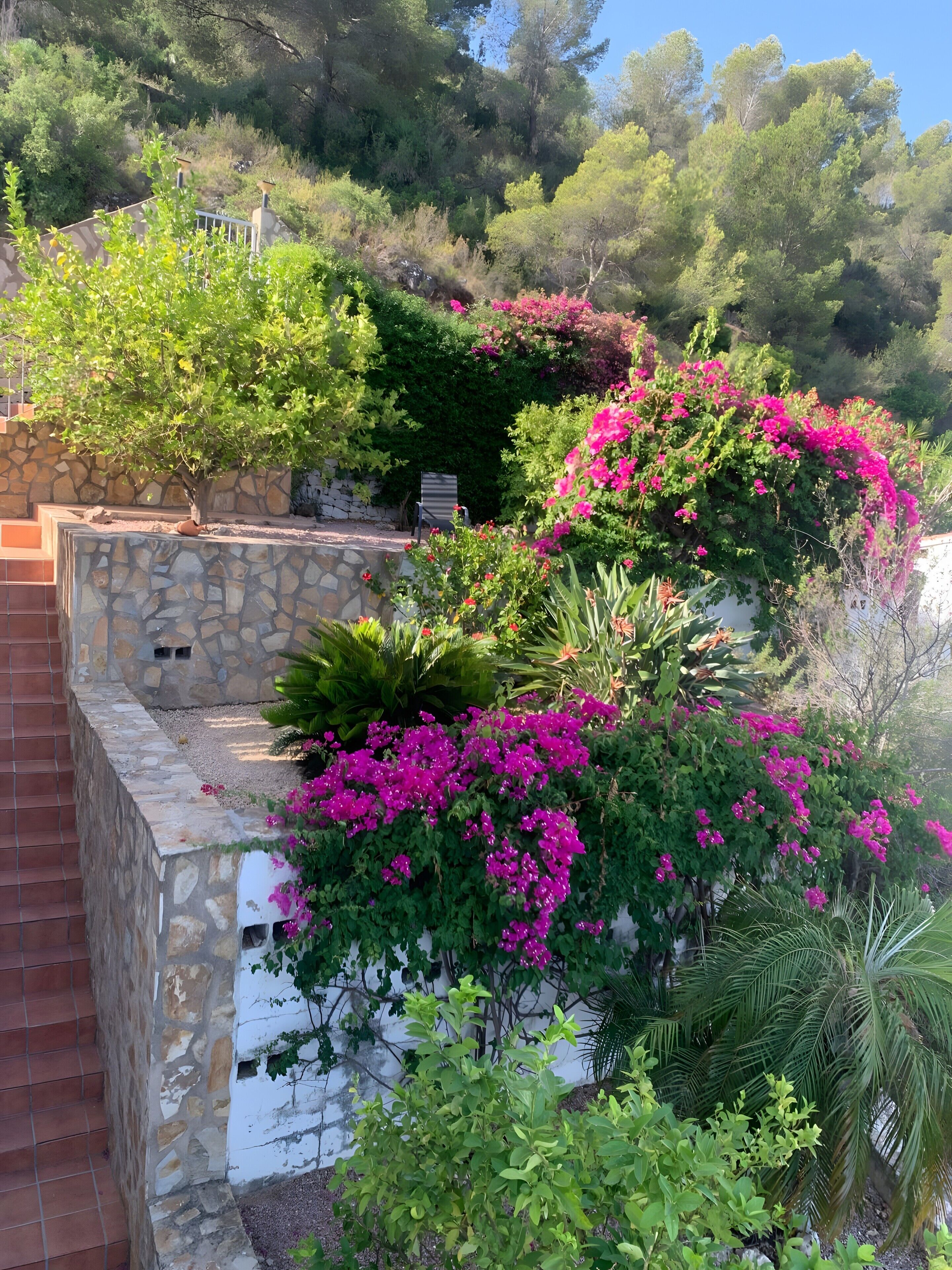 Un jardin avec des murs en pierre, une grande variété de plantes et une vue sur une colline.