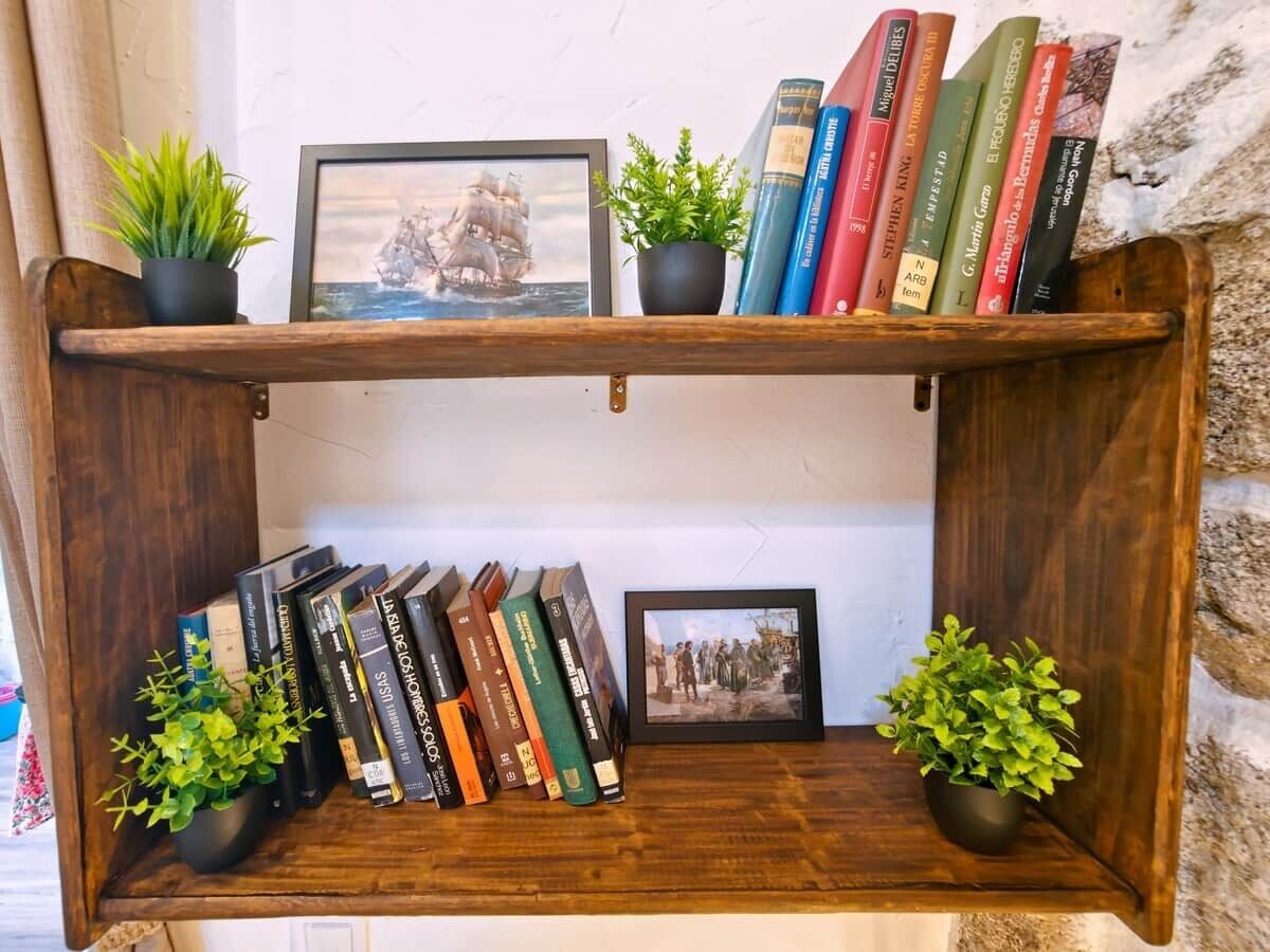 Une bibliothèque en bois avec des livres et deux plantes en pot.