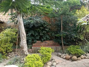 Ein Garten mit einer Steinmauer, verschiedenen Pflanzen und einem Weg.