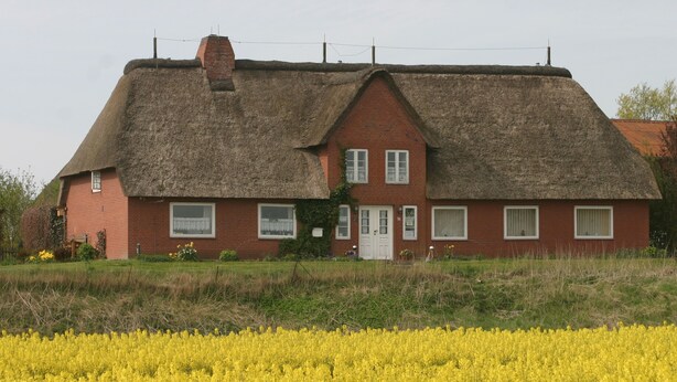 Una casa tradicional de ladrillo rojo con techo de paja, rodeada por un campo de flores amarillas.
