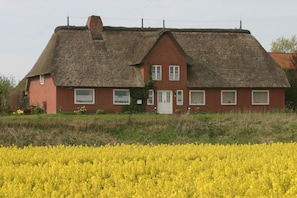 Une maison traditionnelle en briques rouges, avec un toit de chaume, entourée d’un champ de fleurs jaunes.
