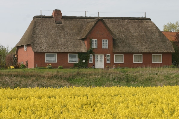 A traditional red brick house with a thatched roof, surrounded by a field of yellow flowers. - Living under a thatched roof, in the quiet neighborhood of Fahretoft, 8 km from the North Sea (Dagebüll)