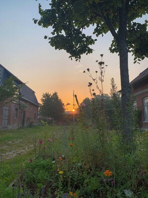 Ein Garten mit Sonnenuntergang, einem Baum und einem Backsteinhaus.