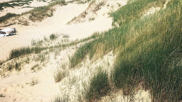En strand med klitter og en klar himmel.