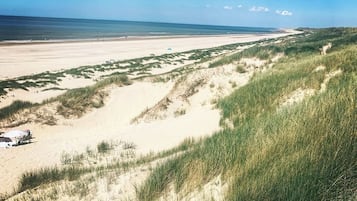 Een strand met duinen en een heldere lucht.