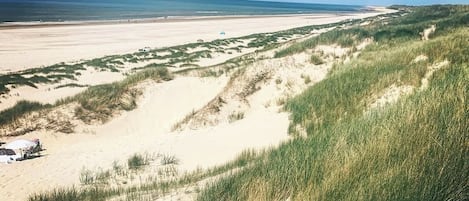 Playa