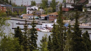 A marina with boats docked, surrounded by residential buildings and trees.