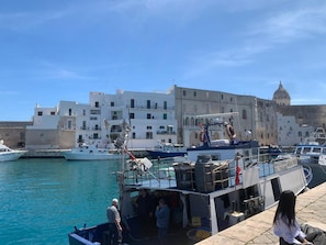 Ein Yachthafen mit vertäuten Booten, ein Gebäude mit Kuppel und ein strahlend blauer Himmel.