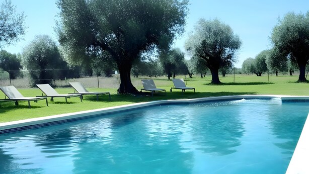A swimming pool with lounge chairs and trees in the background.