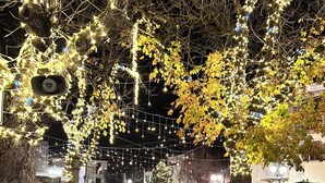 A paved courtyard with benches, a fountain, and trees adorned with lights. - Maiella Experience - Downtown Apartment, Nestled in the Maiella Mountains (Campo di Giove)